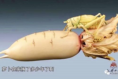 Toát mô hôi khi biết lai lịch thực sự của 'củ cải' 30 năm tuổi