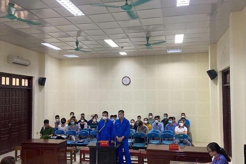 Không nương tay với tội phạm về động vật hoang dã