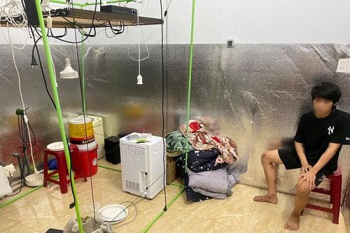Nam thanh niên trồng cần sa trong phòng ngủ