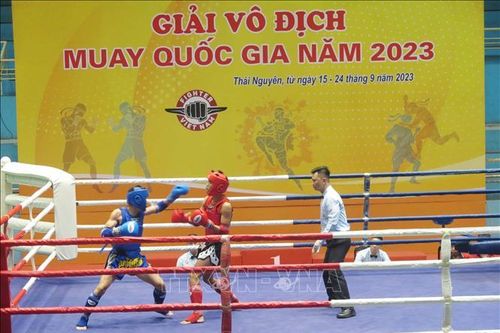 Hơn 300 vận động viên tham dự Giải vô địch Muay quốc gia năm 2023