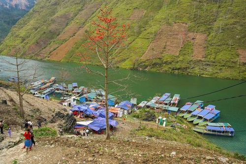 Chiêm ngưỡng hẻm vực Tu Sản - sông Nho Quế trước lúc tàu du lịch dừng đón khách
