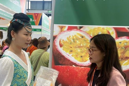 Gia Lai có 6 doanh nghiệp tham gia hội chợ Trung Quốc-ASEAN lần thứ 20