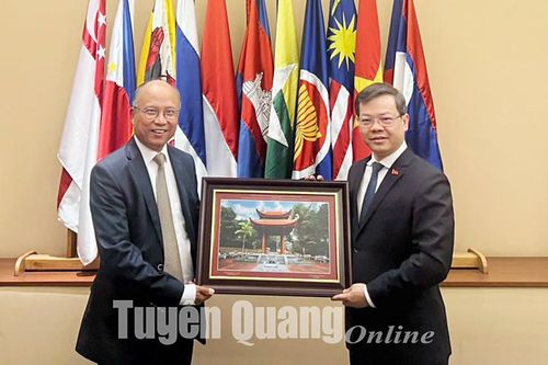 Đoàn công tác tỉnh Tuyên Quang làm việc với Đại sứ quán và Hội Doanh nhân Việt Nam tại Pháp