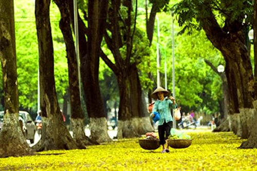 Mùa sấu rụng nhớ bà
