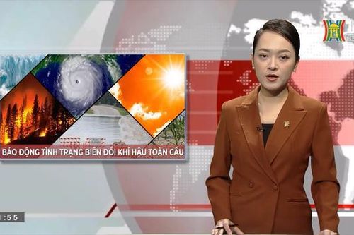 Báo động tình trạng biến đổi khí hậu toàn cầu | Nhìn ra thế giới | 17/09/2023