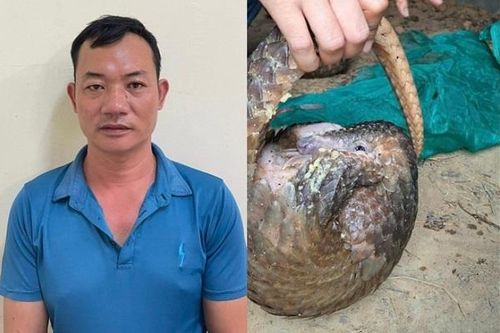 Bắt giữ 3 đối tượng buôn bán tê tê Java quý hiểm