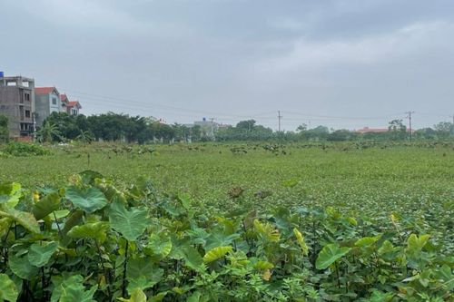 Thường Tín sẽ cưỡng chế thu hồi đất xây khu đấu giá đất xã Lê Lợi