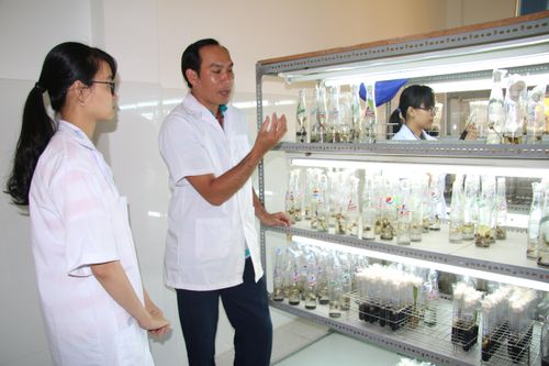 Không để khó chồng khó nghiên cứu khoa học trong trường đại học