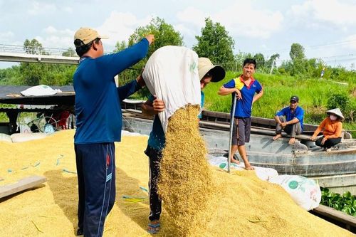 Bàn cách phát triển thế mạnh lúa gạo, thủy sản