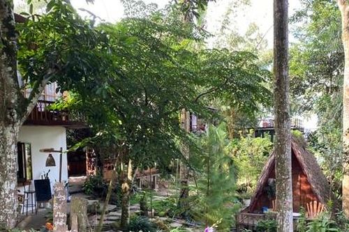 Loạt homestay trên núi Cấm ở An Giang bất ngờ bị dừng hoạt động