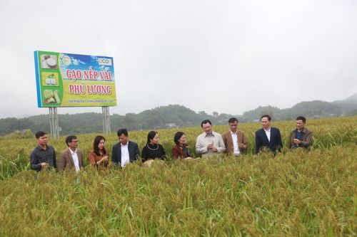 Thái Nguyên: Phát triển đồng bộ hạ tầng thu hút các nhà đầu tư tại Phú Lương