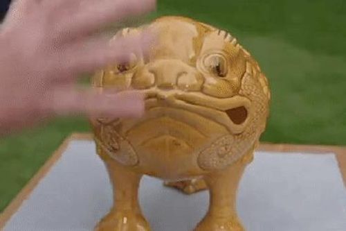 Mang con cóc 3 chân kỳ dị tới gặp chuyên gia, cặp vợ chồng 'há hốc' miệng khi nghe câu chuyện phía sau