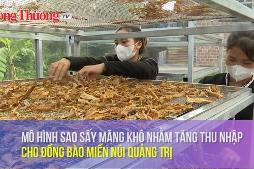 Mô hình sao sấy măng khô nhằm tăng thu nhập cho đồng bào miền núi Quảng Trị