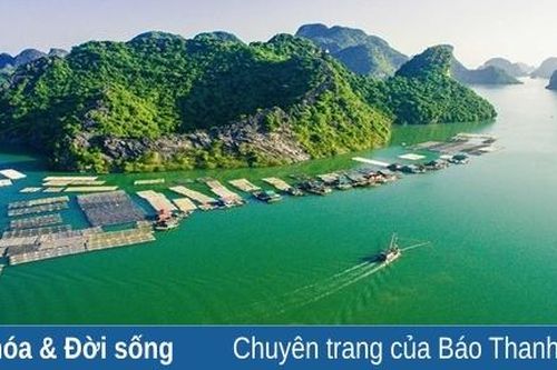 Sự kiện văn hóa – thể thao – giải trí ngày 18-9-2023