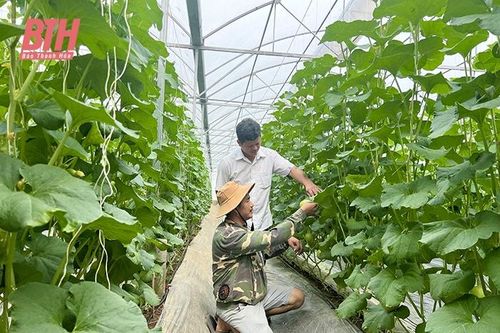 Nga Bạch: Phát triển kinh tế làm đòn bẩy để xây dựng nông thôn mới