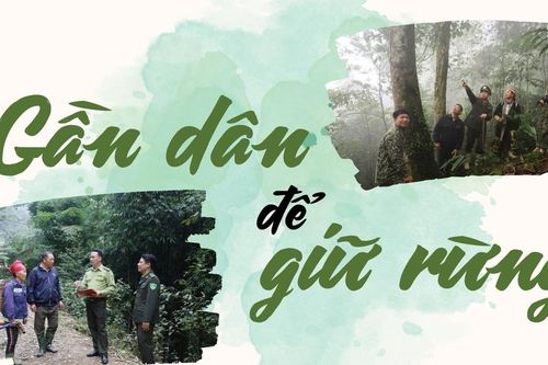 Gần dân để giữ rừng