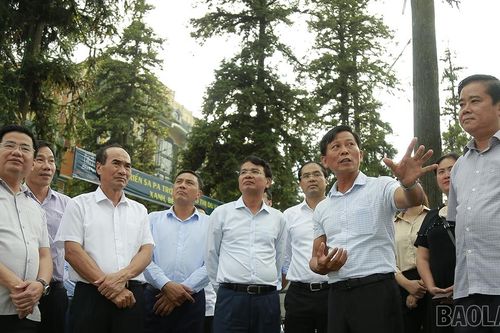 Bí thư Tỉnh ủy Đặng Xuân Phong kiểm tra tiến độ chuẩn bị Lễ kỷ niệm 65 năm ngày Bác Hồ thăm Lào Cai và 120 năm Du lịch Sa Pa