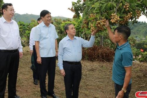 Đại sứ đặc mệnh toàn quyền nước CHDCND Lào tại Việt Nam thăm huyện Yên Châu