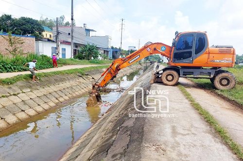 Phú Bình: Kịp thời xử lý xác lợn con vứt trên kênh Núi Cốc