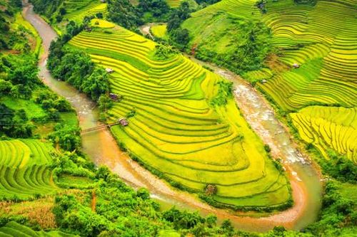 Nhịp đập Kinh tế xanh ngày 18/9: Yên Bái sẽ là hình mẫu phát triển xanh của cả nước