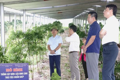 Ứng dụng khoa học và công nghệ nâng cao giá trị kinh tế