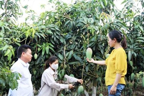 Xây dựng NTM gắn với ứng dụng công nghệ cao trong sản xuất