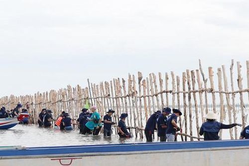 BAT Việt Nam mở rộng diện tích rừng góp phần ứng phó với biến đổi khí hậu và bảo vệ đa dạng sinh học tại Việt Nam