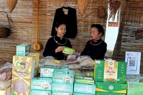 Hội Đông y Thái Nguyên phát huy mô hình thầy tại chỗ, thuốc tại vườn, chữa bệnh tại gia