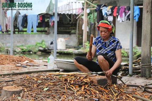 Những khó khăn trong việc bảo tồn nền y dược học dân tộc