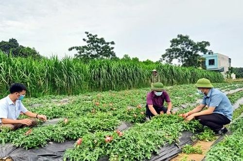 Bước ngoặt của y học cổ truyền Việt Nam