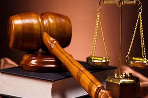 Vận tải và Dịch vụ Hàng hóa Hà Nội bị xử phạt vì trốn thuế