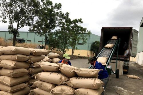 Cà phê Việt Nam hết hàng xuất khẩu dù giá lên cao kỷ lục