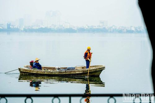 Xác định nguyên nhân sơ bộ hiện tượng cá chết tại hồ Tây