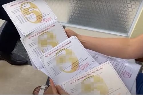 Góp cổ phần cho Sen Tài Thu, nhà đầu tư 'ngậm trái đắng'