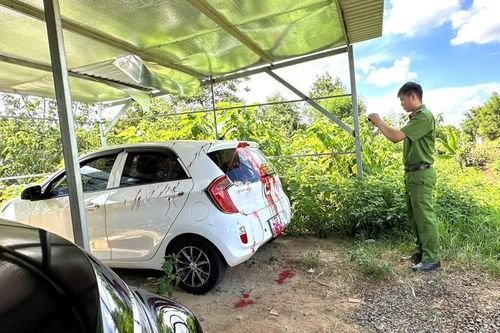 Khởi tố vụ án ô tô của phóng viên Báo Tuổi trẻ bị tạt sơn