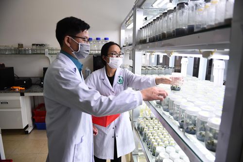 Đào tạo nhân lực trình độ quốc tế ở TPHCM đua cán đích