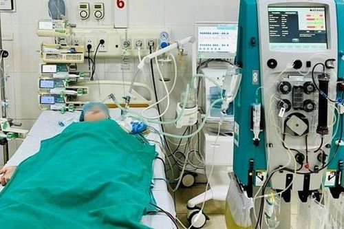Nữ sinh mắc bệnh 'vi khuẩn ăn thịt người' Whitmore đã tử vong
