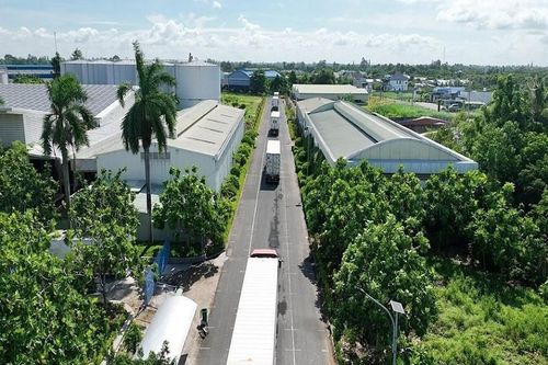 Sẵn sàng cho hành trình 'thoát kén' để vươn xa