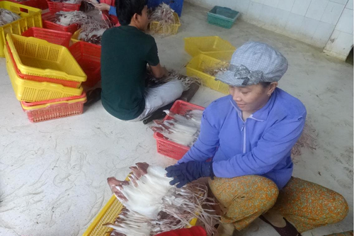 Cộng đồng cùng chung tay bảo vệ, khôi phục nguồn lợi thủy sản