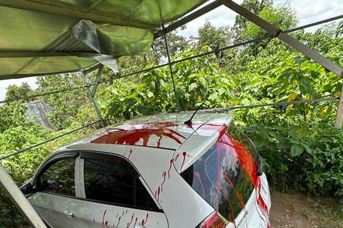Khởi tố vụ xe gia đình phóng viên báo Tuổi Trẻ bị tạt sơn