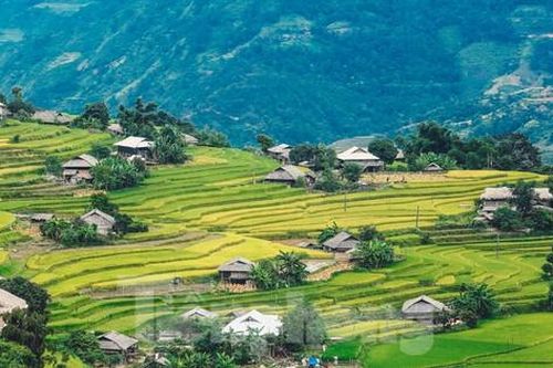 Ngất ngây cảnh sắc 'thiên đường' ruộng bậc thang ở Hoàng Su Phì
