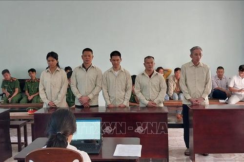 Gia Lai: Xét xử 5 đối tượng tổ chức cho người khác trốn đi nước ngoài trái phép