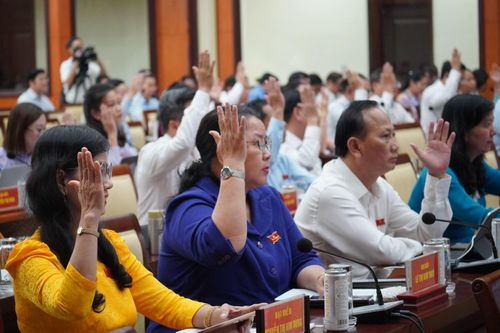 HĐND TP Hồ Chí Minh thông qua việc chuyển đất trồng lúa dưới 500 ha làm dự án
