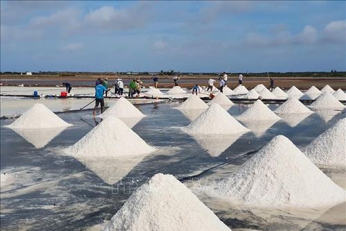 Tận dụng lợi thế, phát triển nghề muối Bạc Liêu