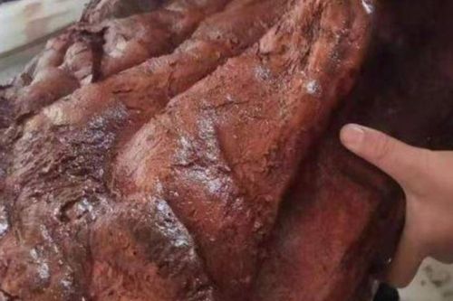 Nhặt được 'khúc gỗ' nhăn nheo màu đỏ, người đàn ông vớ bẫm khi đem đi thẩm định