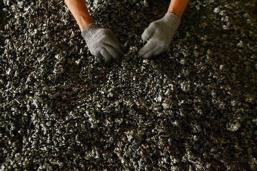 Xuất khẩu nickel của Indonesia tăng 17 lần sau lệnh cấm xuất quặng thô