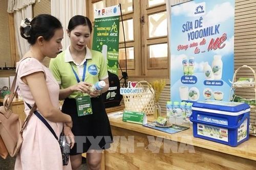 Nhiều sản phẩm OCOP tham gia dự án khởi nghiệp xanh