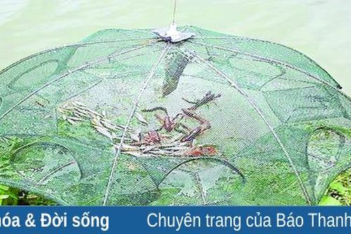 Trả tôm, cá lại cho đồng làng
