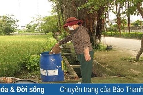 Quảng Xương chú trọng thu gom, xử lý rác thải tại khu vực ven biển