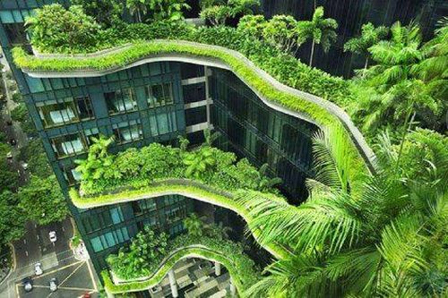 Gọi vốn đầu tư mạo hiểm cho các dự án xanh